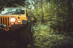Off-Road Vehicle Driving Through a Muddy Forest photo