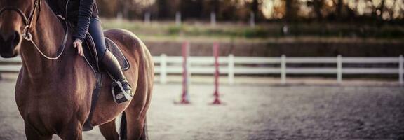 Happy horse rider patting horse. Parkour in the background. Equestrian theme. Copy space. photo