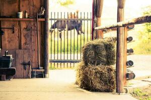 Stable Hay Cubes photo
