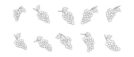 Grape Outline Illustration Vector Set