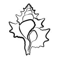 Triton shell vector icon design. Marine world flat icon.