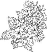 Primrose tattoo, black and white vector sketch illustration of floral ornament bouquet of Primula Francisca simplicity, Embellishment, zentangle design element for card printing coloring pages