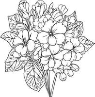 Cute flower coloring pages, primrose drawing, yellow primula flower drawing, Hand drawn botanical spring elements bouquet of primula line art coloring page, easy flower drawing vector