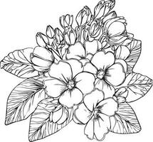 Cute kids coloring pages, easy primrose drawing, primrose flower black and white illustration, primrose flower outline, Primula Francisca flower vector art, simple flower drawing, unique flower color