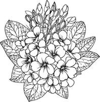 primrose flower drawing, a branch of the botanical spring collection, ink illustration vector art of primula bouquet, hand-drawn artistically, Zentangle tattoo, easy flower coloring pages and book,