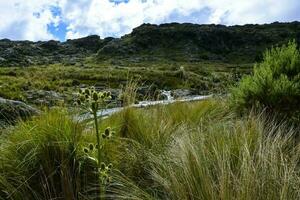 Quebrada del Condorito  National Park,Cordoba province, Argentina photo