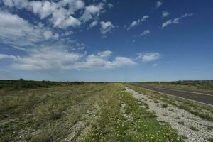 Road in Puerto Madryn, Chubut Province, Patagonia, Argentina. photo