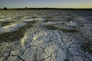 roto seco suelo en un pampa laguna, la pampa provincia, Patagonia, argentina. foto