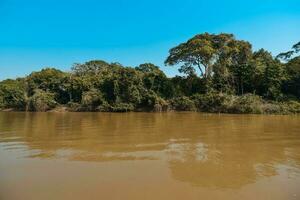 río paisaje y selva,pantanal, Brasil foto