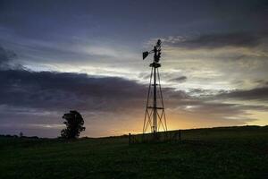 Windmill in countryside at sunset, Pampas, Patagonia,Argentina. photo