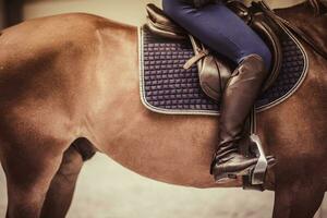 Horse rider on the horse ready for jumping training. Equestrian theme. photo