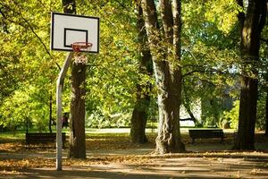 baloncesto campo a parque foto