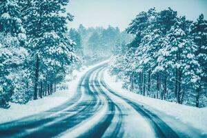 Winter on the Road photo