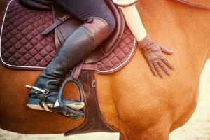 Horse rider on brown horse. Equestrian theme. photo