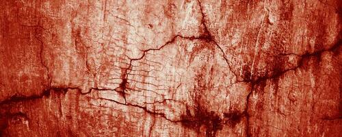 Panoramic red wall grunge texture. Abstract scary concrete, Horror cement for background. photo