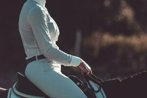 Equestrian Woman rider on the horse holding reins at sunset. Equestrian theme. photo