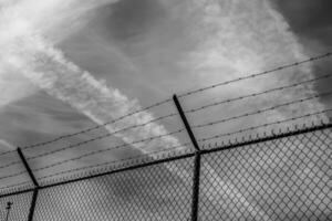 Camp Fence in Black and White photo