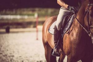 caballo jinete en un parkour con su caballo. ecuestre tema. foto