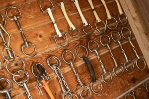 Horse Bits Hanging on the Wall Inside Tack Room at the Stables photo