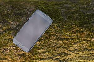 Mobile phone lying on green tree trunk photo