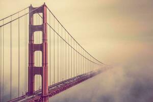 Golden Gate Into the Fog photo