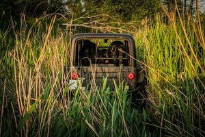 Off-Road Vehicle Deep in Tall Grass photo