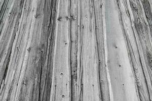 Abstract Background Wood Texture Of An Old Tree Trunk photo