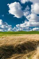 primavera paisaje con azul cielo. foto