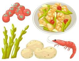 Shrimp and asparagus salad vector element