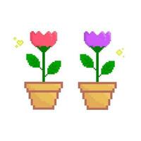 Flower in the pot pixel art vector