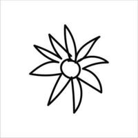 Flower illustration with isolated hand-drawn style on a white background, suitable for children to draw abstract illustrations. vector