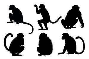 mono negro siluetas colocar. animales primate en diferente posa vector ilustración aislado en blanco antecedentes