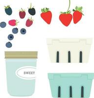 BERRIES JAR FRUIT vector