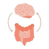 Connection of cute healthy happy brain and intestine gut. Relation health of human brain and gut, second brain. Unity of mental and digestive. Vector illustration on white background