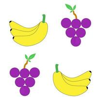 ilustración de bananas y uvas vector