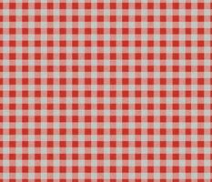 red Gingham Print Fabric photo