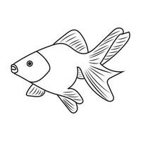 Line art image of a gold fish with its veiltail. Vector illustration EPS 10. Editable stroke.