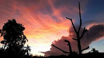 Create beauty of landscape saw mountains, betel palm dead big tree, with blue sky mix golden orange. the natural atmosphere evening is bright and charming in the countryside. photo