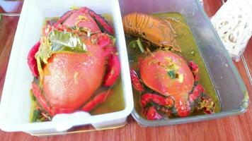 sopa de caranguejo em um recipiente de piquenique pronto para comer, deliciosos frutos do mar video