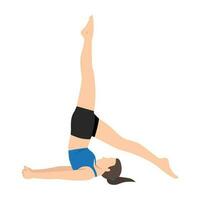 Woman doing Yoga in shoulder stand pose exercise. vector