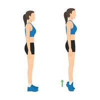 Woman doing tip toe pose move for reduce leg cellulite. Workout diagram about Calves reduction for slim leg. vector