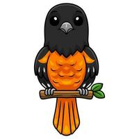 Cute baltimore oriole bird cartoon on tree branch vector