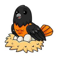 Cute baltimore oriole bird cartoon with eggs in the nest vector