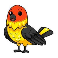 Cute western tanager bird cartoon vector