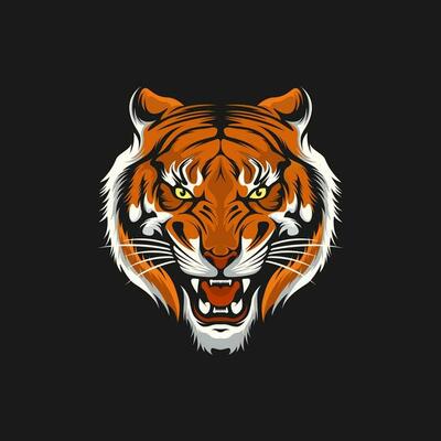 Vector Tiger Face Design Ilustration