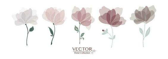 Set of classic floral collection vector