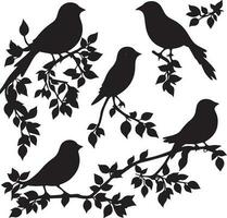 Bird silhouette set in white background vector