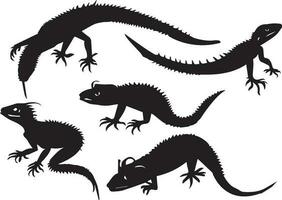 Lizard silhouette set in white background vector