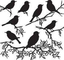 Silhouettes set a flock of birds perched on top of a tree branch vector