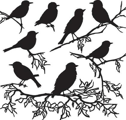 Silhouettes set a flock of birds perched on top of a tree branch
